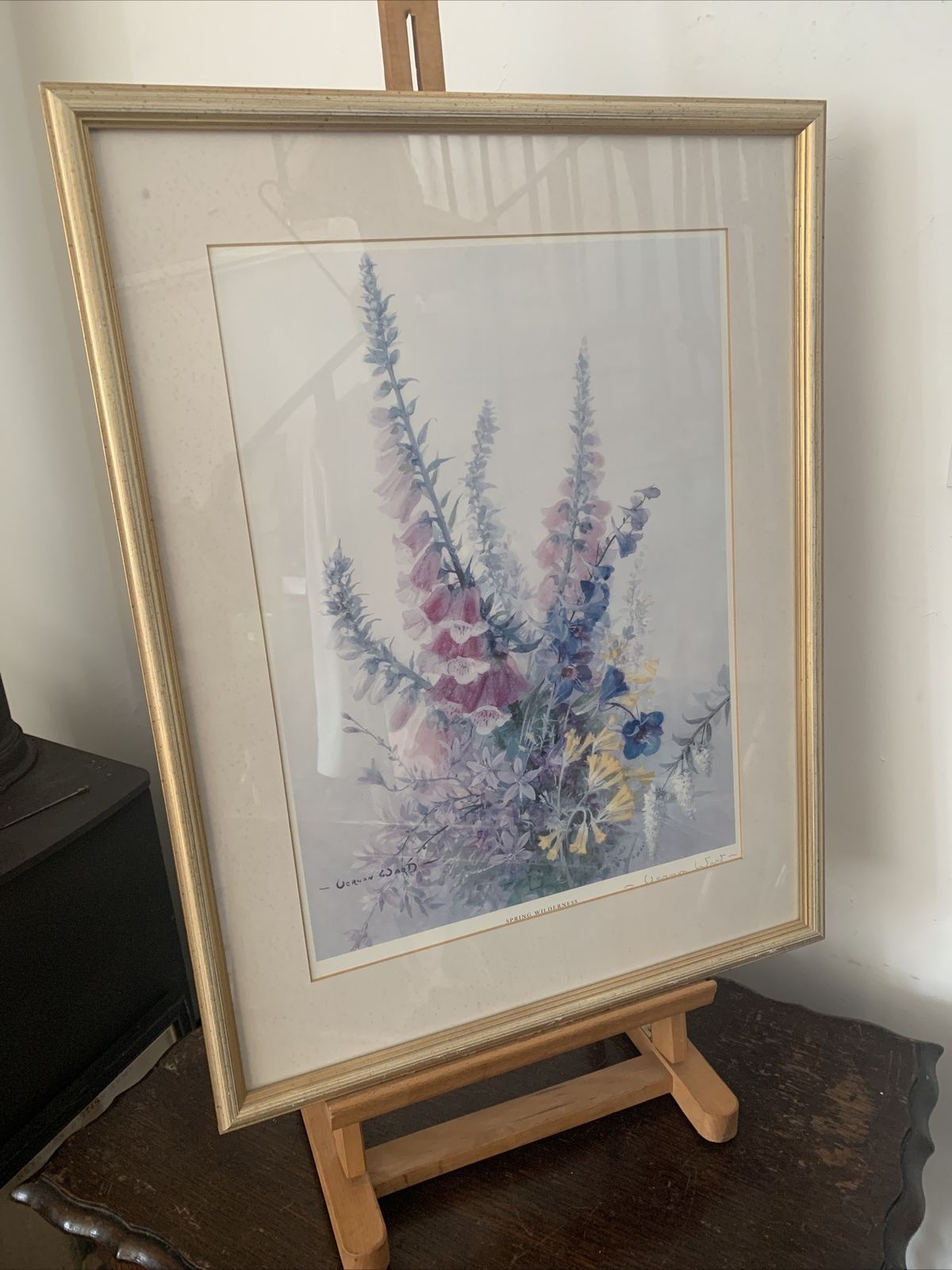 Vintage Framed Glazed Still Life Botanical Large Print Signed By Artist 56x44cm