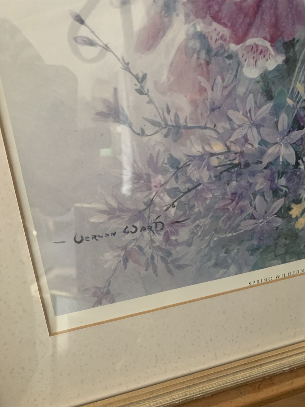 Vintage Framed Glazed Still Life Botanical Large Print Signed By Artist 56x44cm photo for sale