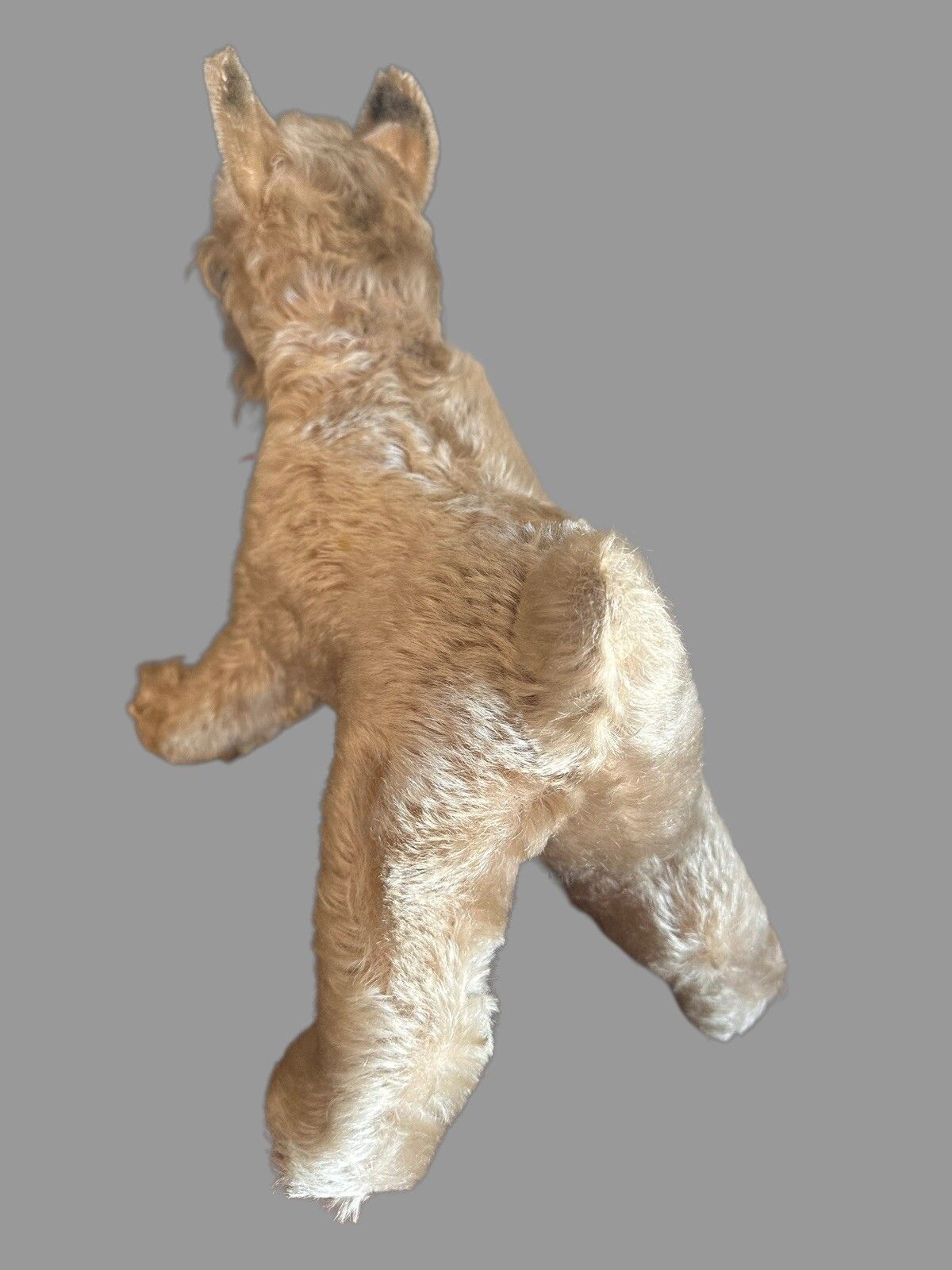 Vintage Steiff Dog Champagne Mohair Dog, Steiff 1950's , Schnauzer 12” photo 95.0