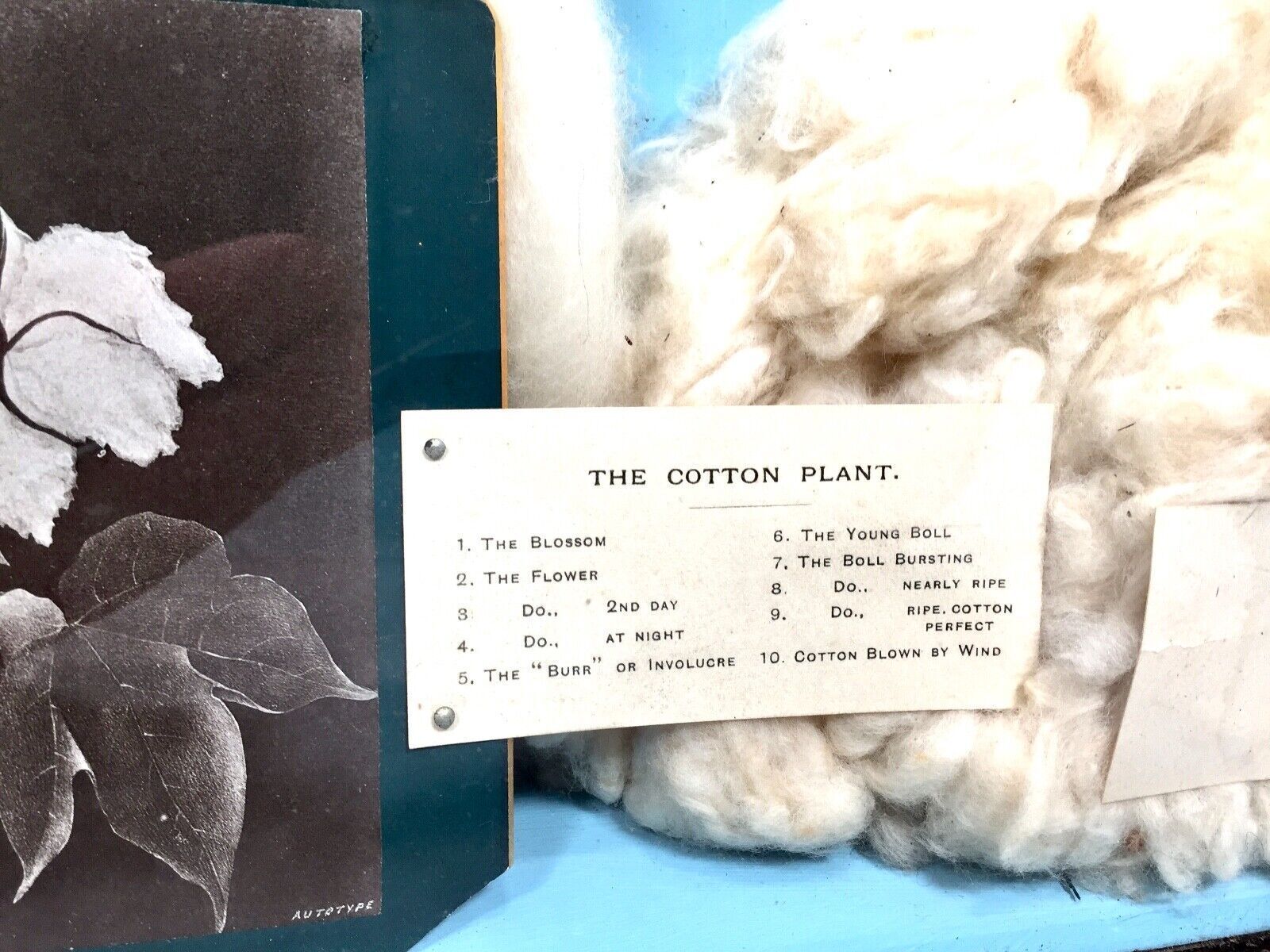 Georgian Antique Horrocks, Miller And Co Presentation Framed Yarn Display C.1820 photo Art