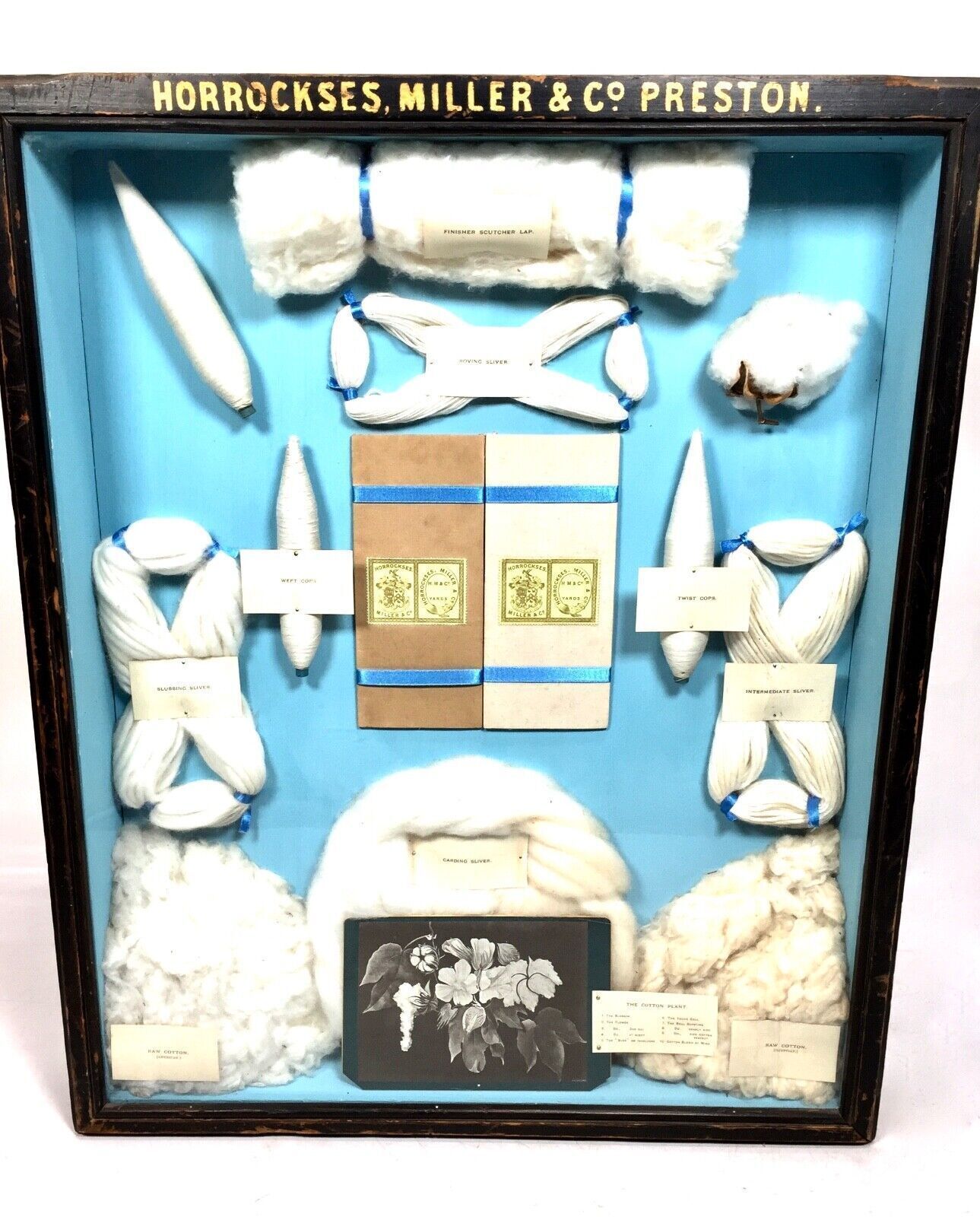 photo furniture Georgian Antique Horrocks, Miller And Co Presentation Framed Yarn Display C.1820