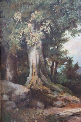 Forest Landscape, Oil Painting On Canvas, Late 19th Century, Framed photo vintage