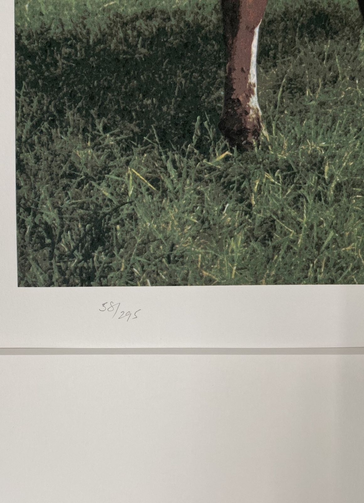 Pink Floyd   Atom Heart Mother By Storm Thorgerson, John Blake photo for sale