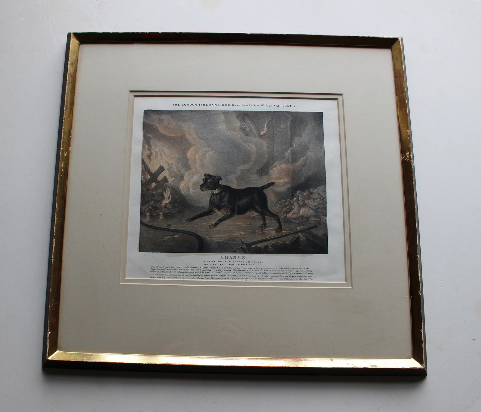 Framed Original Lithograph Chance The London Fireman’s Dog By William Heath C1834