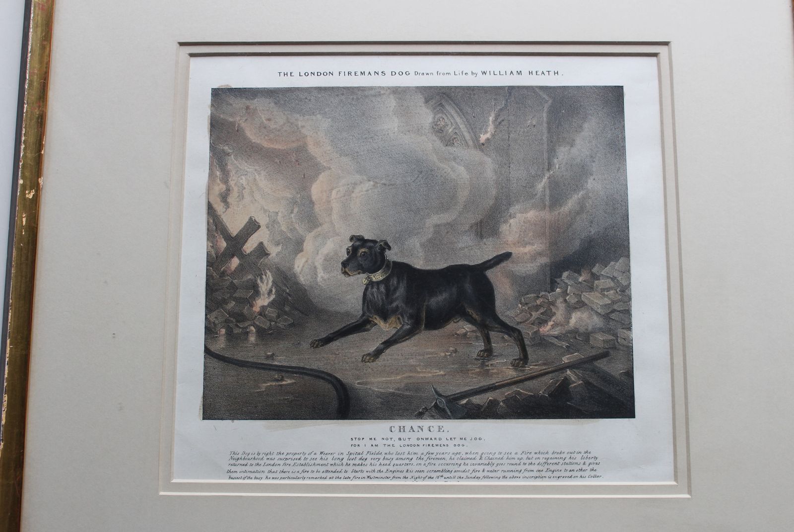 Framed Original Lithograph Chance The London Fireman’s Dog By William Heath C1834 photo furniture