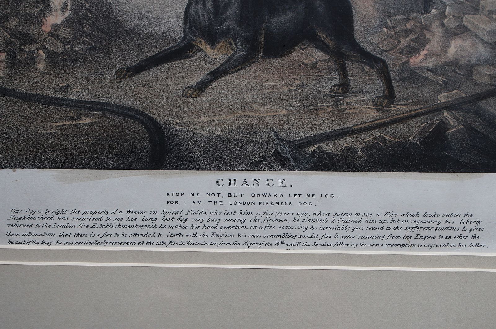 Framed Original Lithograph Chance The London Fireman’s Dog By William Heath C1834 photo for sale