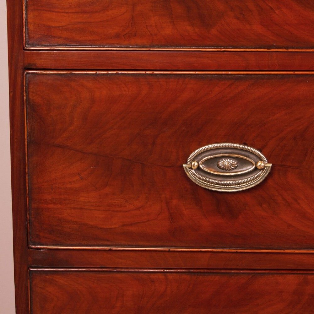 photo furniture 19th Century Compact Mahogany Chest Of Drawers