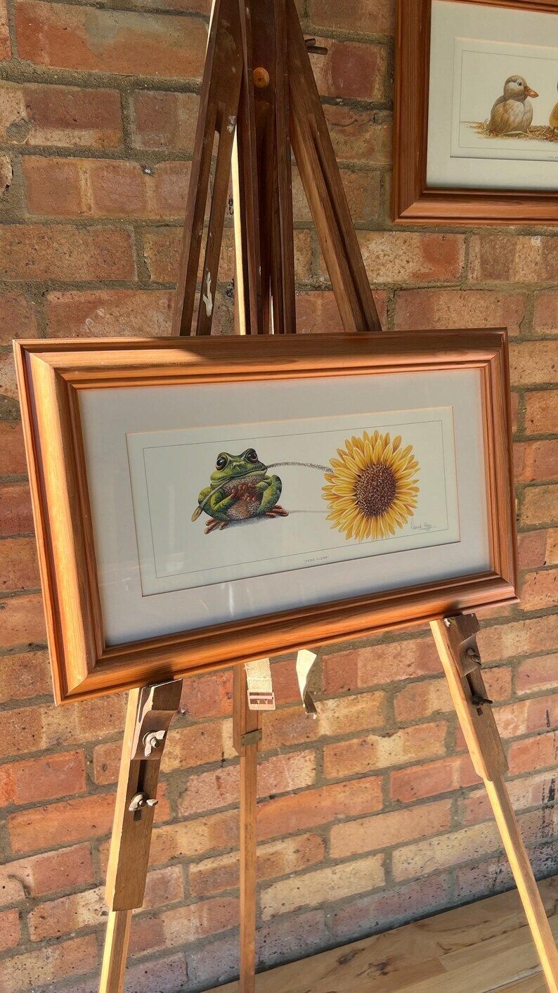 Framed Warwick Higgs ‘Frog Flora’ & ‘Odd One Out’ Illustration Reproductions– Nature Art photo furniture