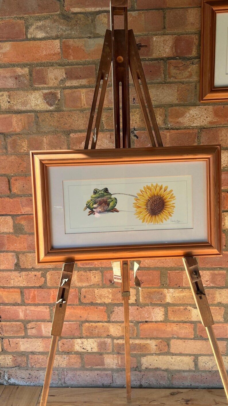Framed Warwick Higgs ‘Frog Flora’ & ‘Odd One Out’ Illustration Reproductions– Nature Art photo for sale