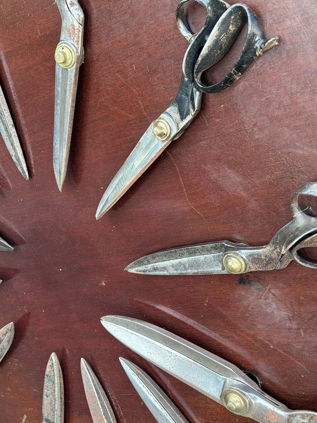 Large Antique Tailors Shears Shop Display 12 Pairs Mounted To Wall Hanging photo furniture