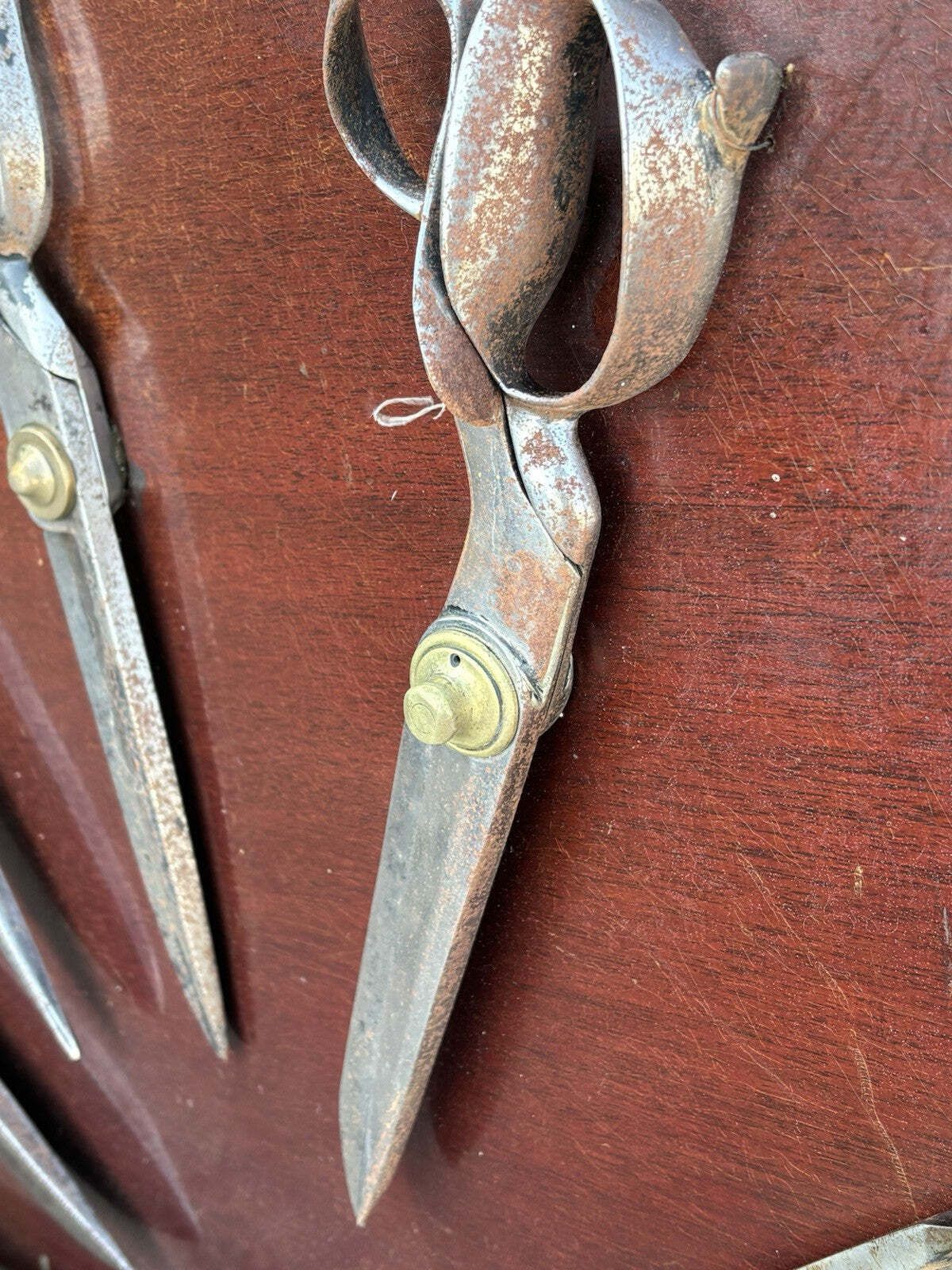 Large Antique Tailors Shears Shop Display 12 Pairs Mounted To Wall Hanging photo for sale