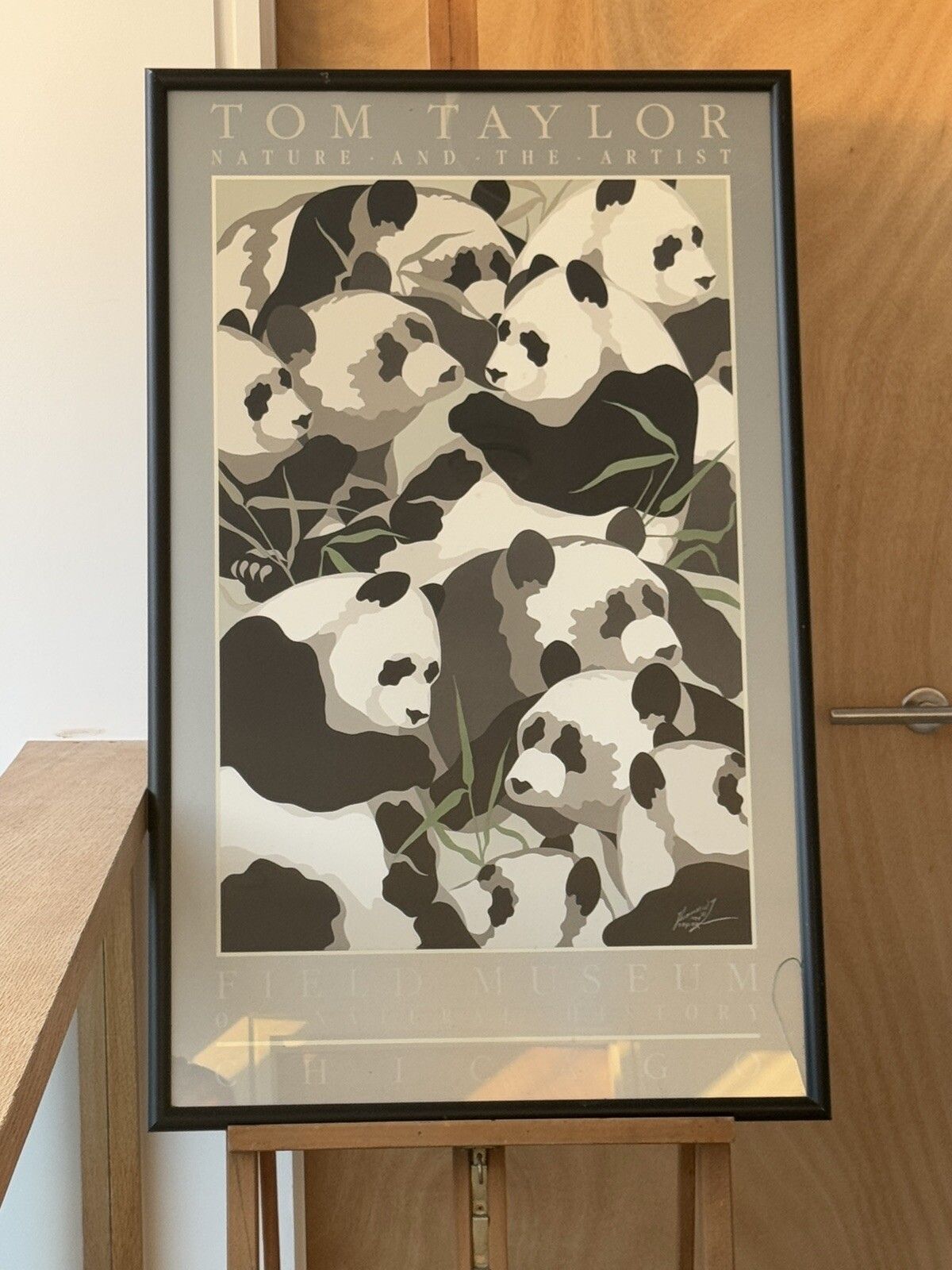 Nature And The Artist Poster  "Panda's" Tom Taylor 1980 photo vintage