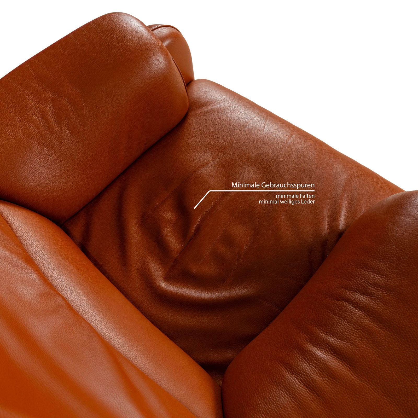 Fauteuil De Sede en cuir marron photo 1128.0