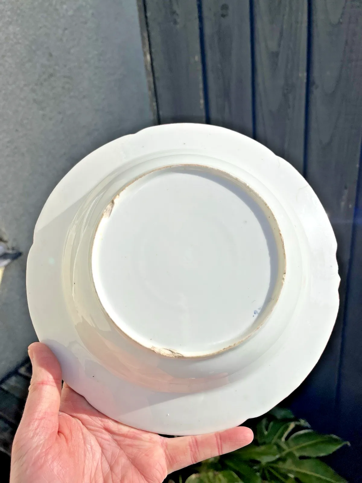 photo for sale 2 Antique C1805 Minton English Porcelain Crazy Cow / Bengal Tiger Soup Bowls A/F