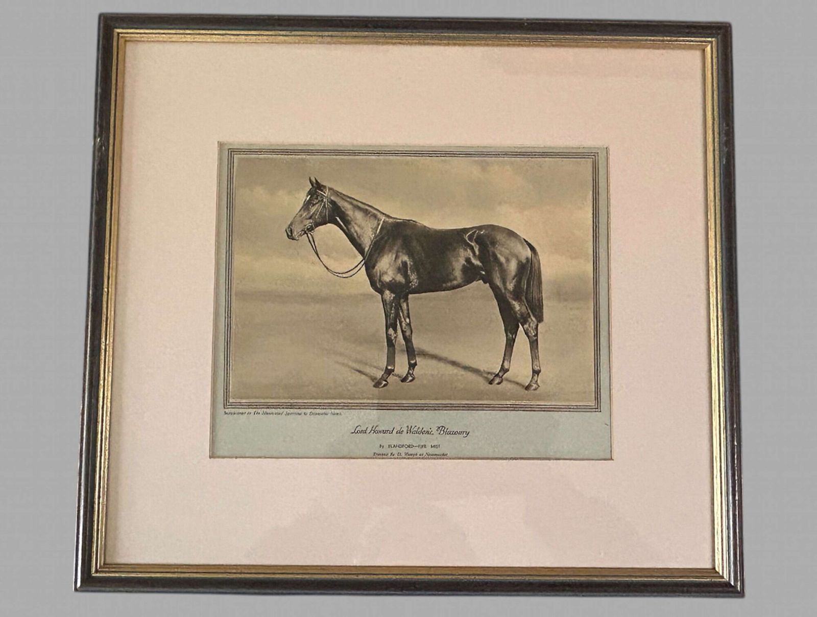 A Wonderful Set Of Eight Famous Racehorses 1933 Framed & Glazed photo vintage