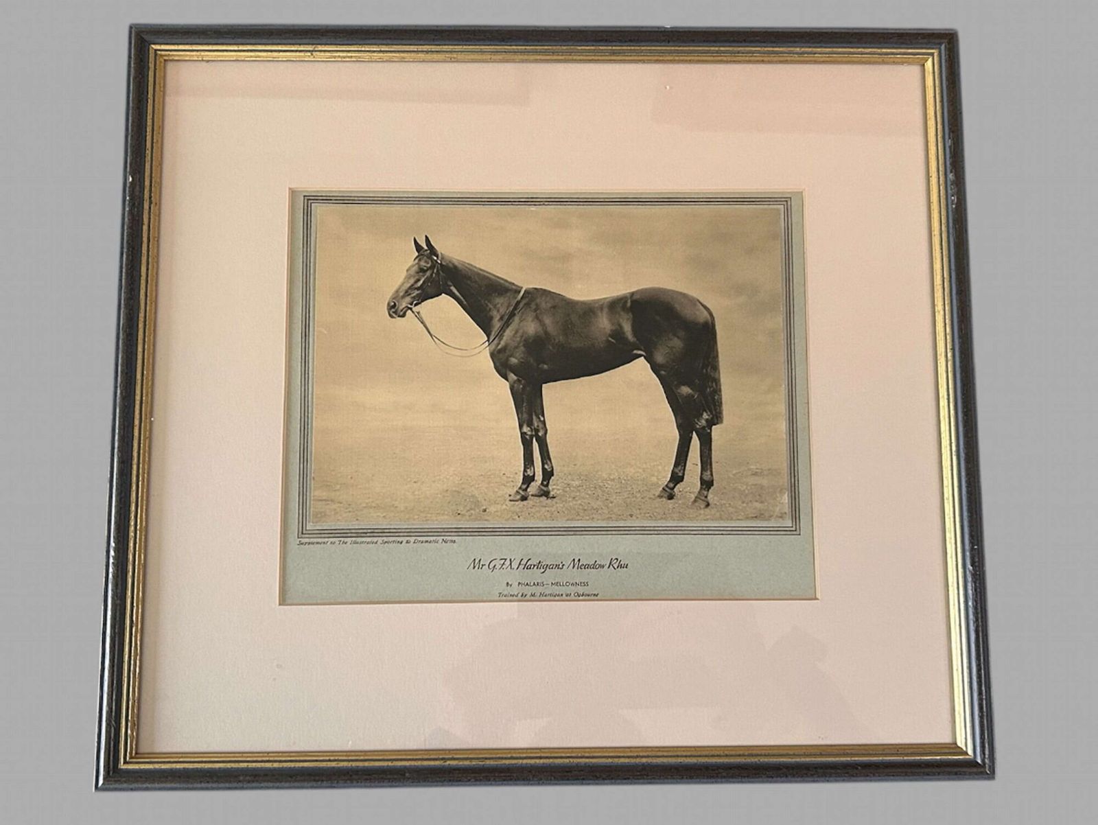 photo furniture A Wonderful Set Of Eight Famous Racehorses 1933 Framed & Glazed