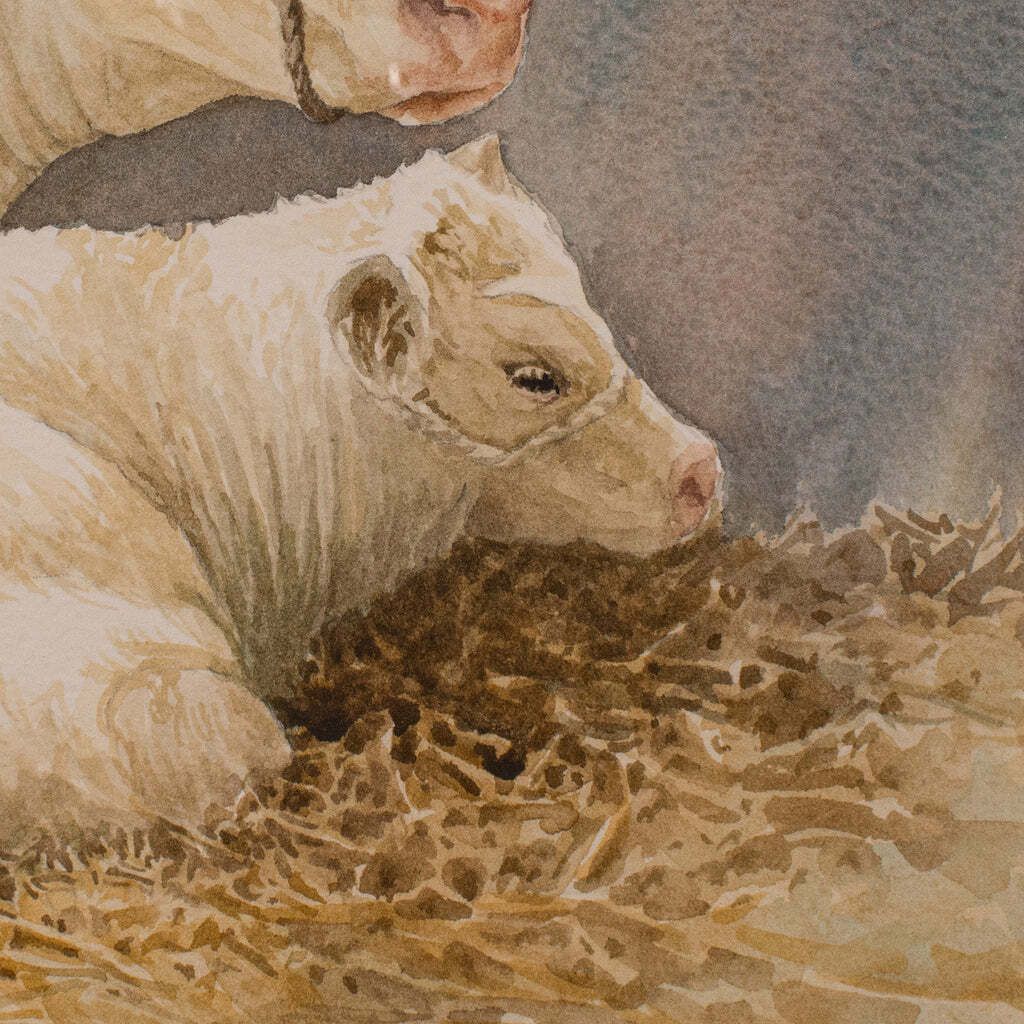 Vintage Livestock Watercolour, English, Art, Animal Painting, Farming, Picture photo vinterior