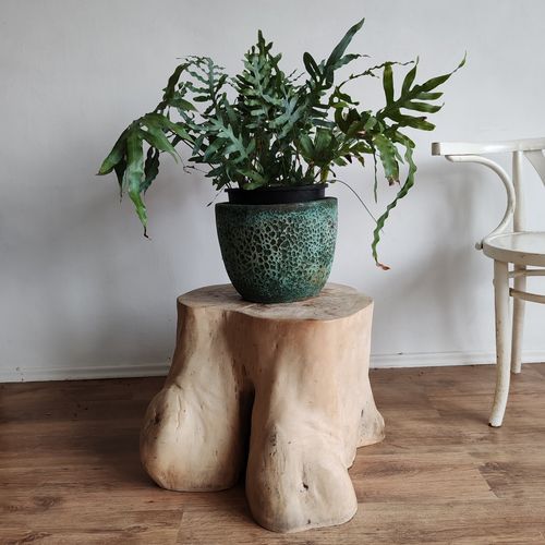 Natural Wood Side Table Stump Oak Heavy Wabi Sabi, Organic Shape, Treated photo buy