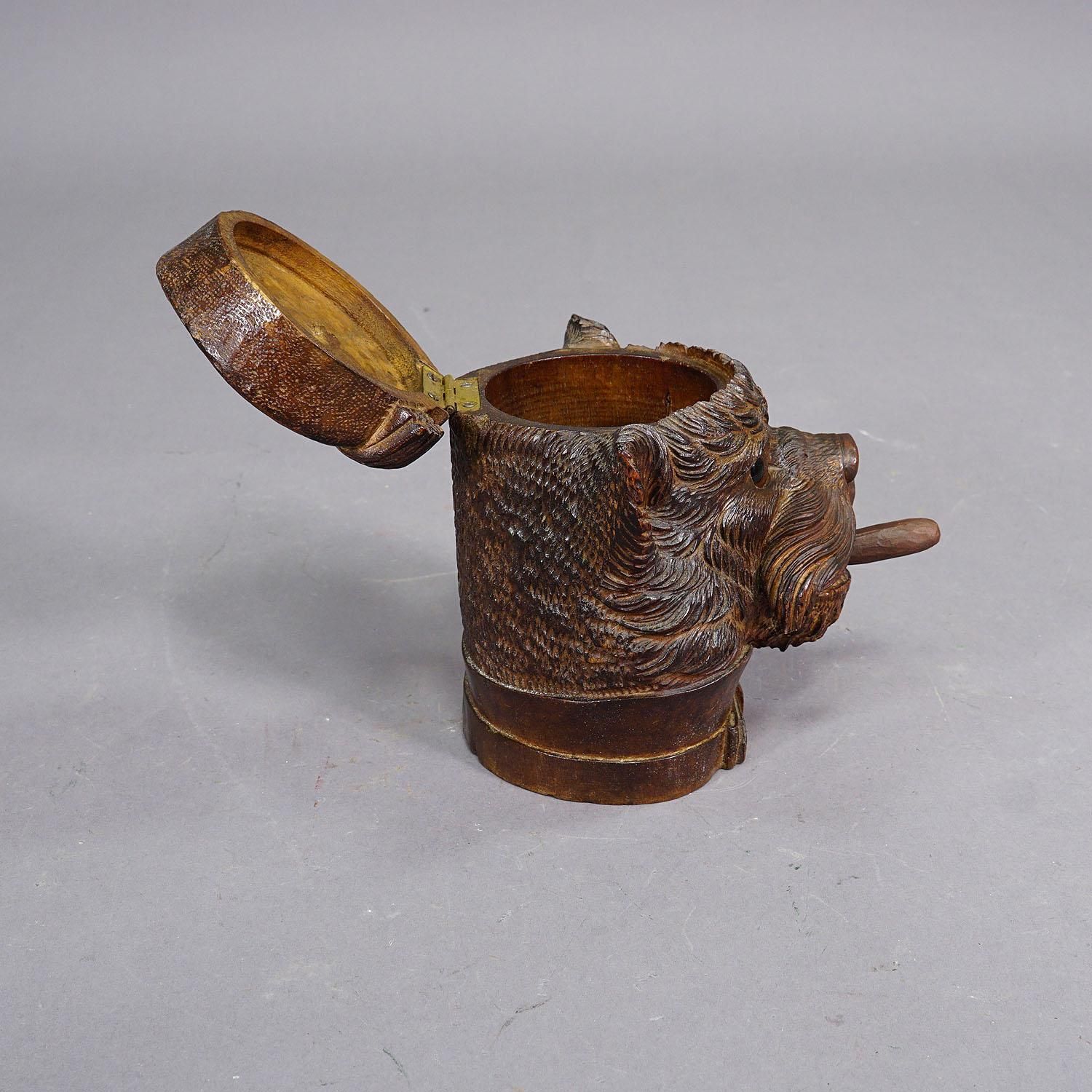 Wooden Carved Black Forest Tobacco Box Terrier Head Ca. 1900 photo vinterior