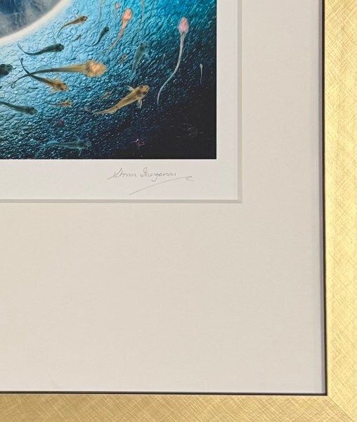 Pink Floyd Pulse Album Cover By Storm Thorgerson photo furniture