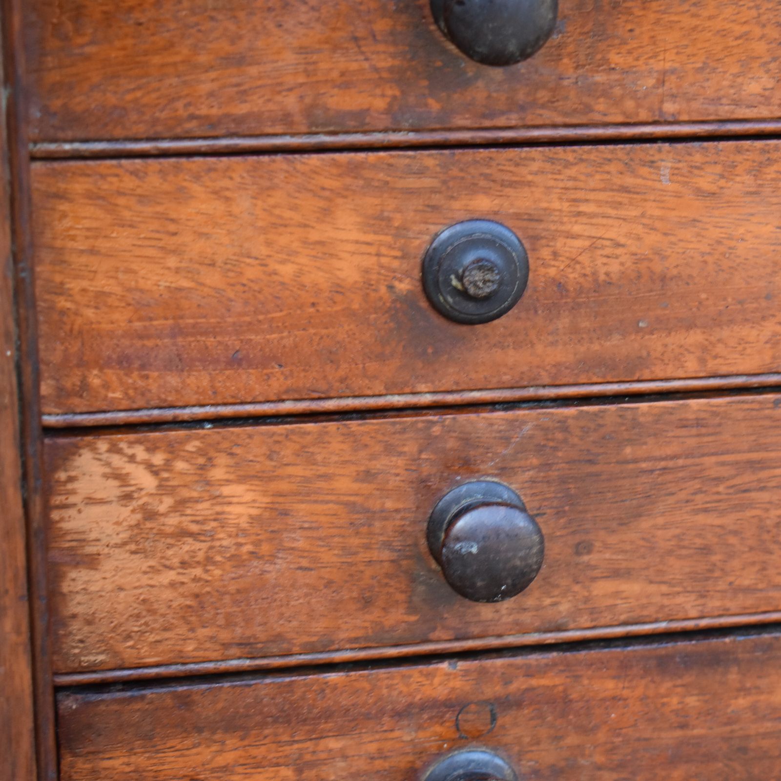 photo furniture Antique Museum Butterfly Moth Specimen Artist Collector Mahogany Bank Of Drawers