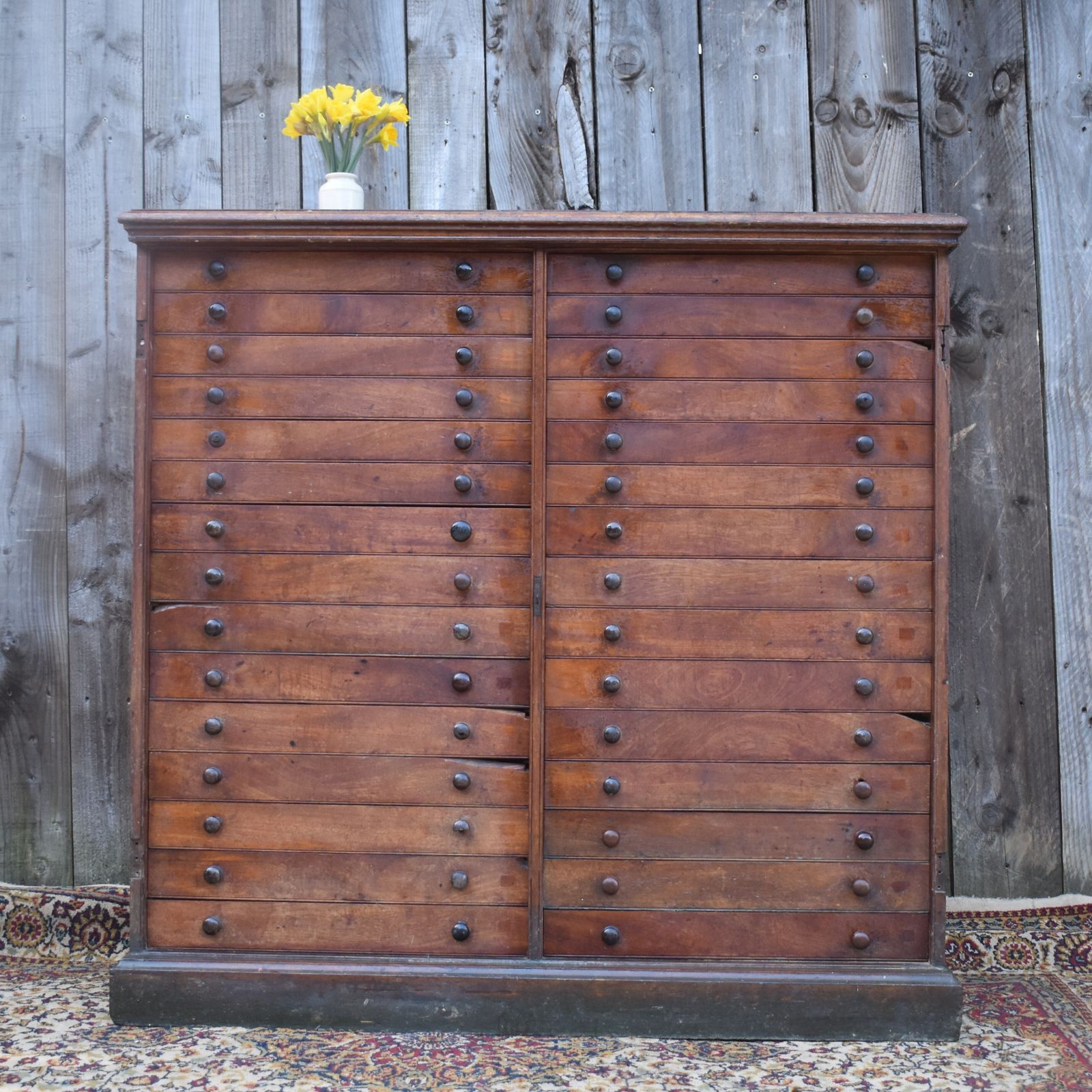 photo vinterior Antique Museum Butterfly Moth Specimen Artist Collector Mahogany Bank Of Drawers