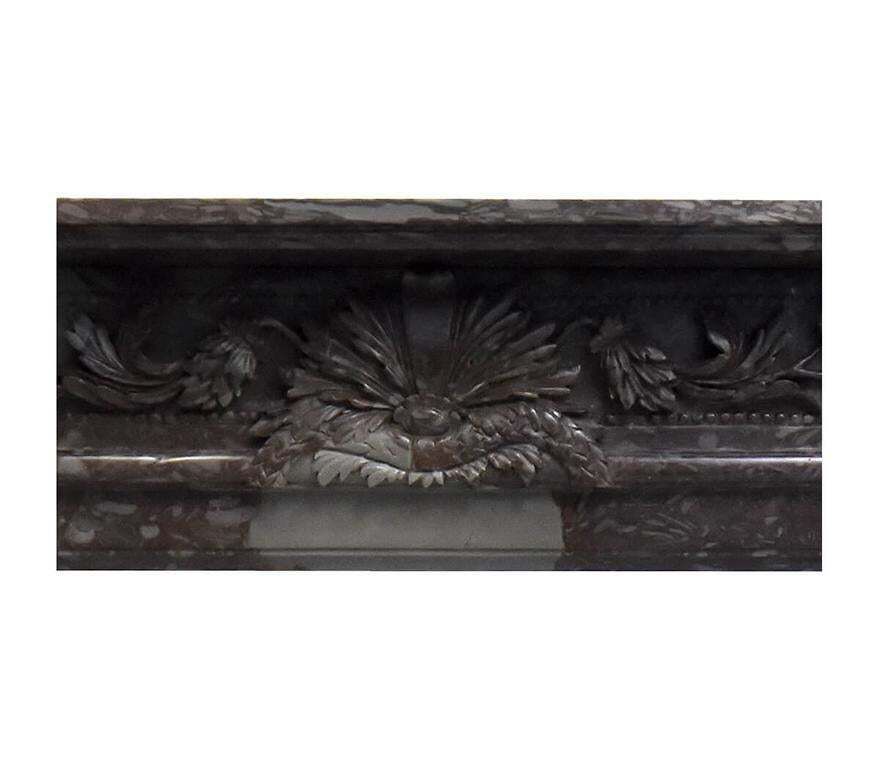 Brown Grey Marble Fireplace 19th Century photo for sale