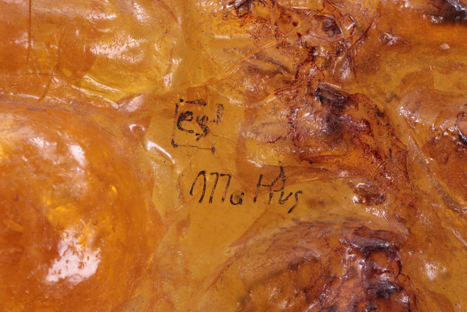 photo furniture Wall Decoration Design By Matius Made Of Resin, 1970 France