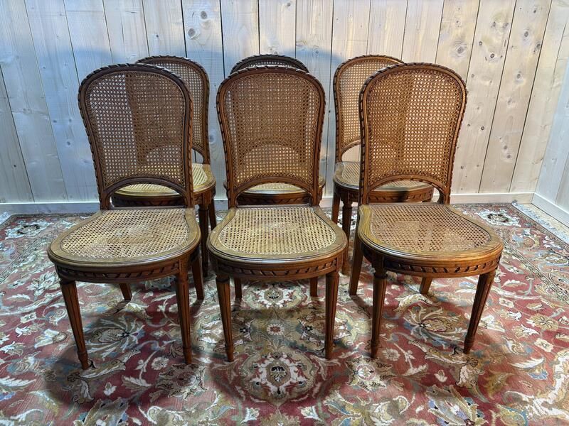 Série De 6 Chaises Cannées De Style Louis XVI photo furniture