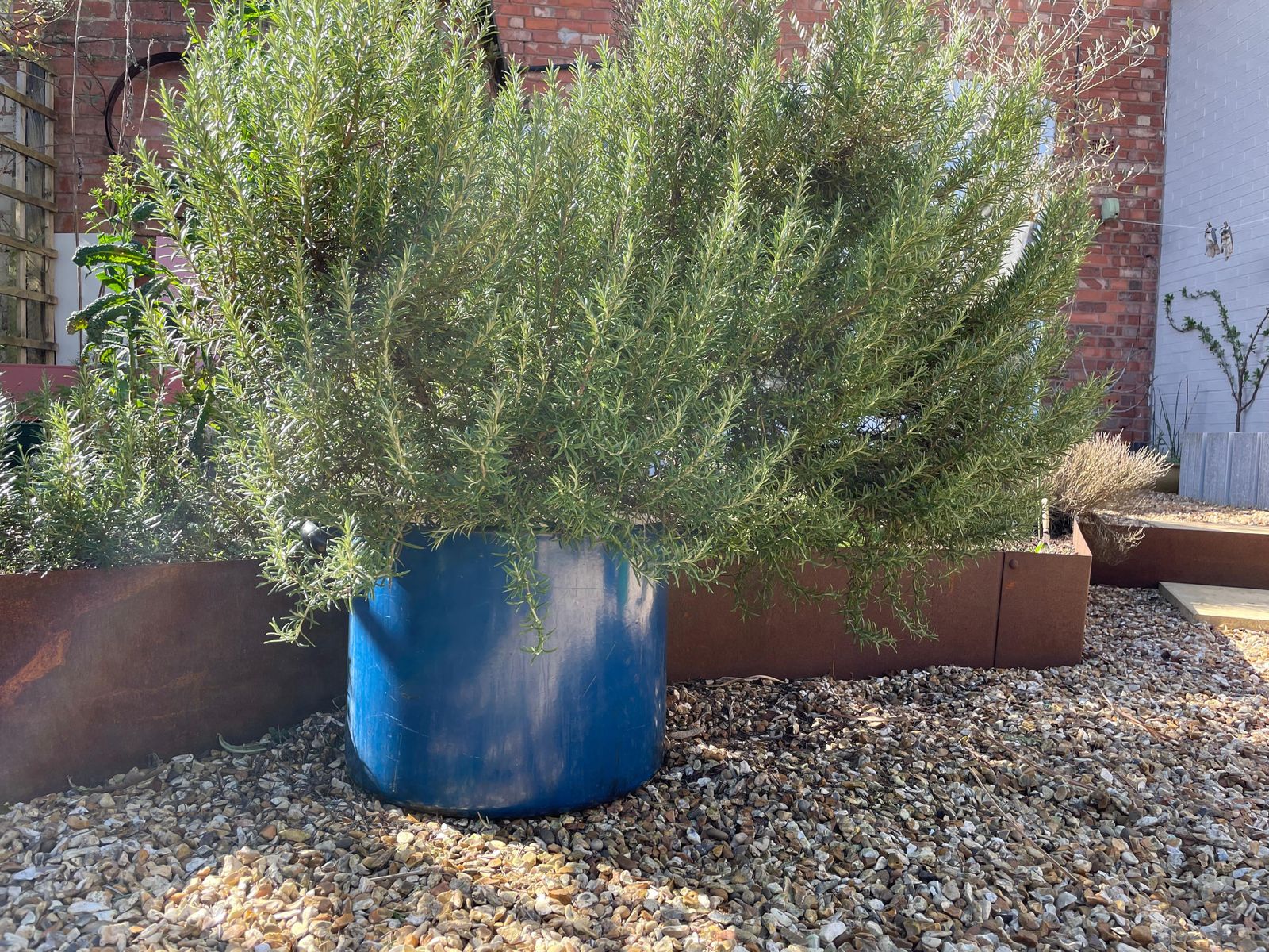photo furniture Extra Large Vintage Industrial Royal Blue Enamelled Metal Planter