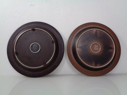 photo vinterior Large Russian Plates By Ulla Procope For Arabia, Set Of 6, Finland, 1960s , Set Of 6