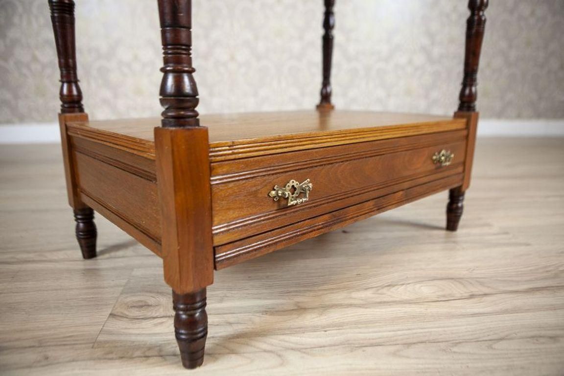 photo furniture 19th Century Small Walnut Cabinet With The Motif Of Sunflowers By George Davis