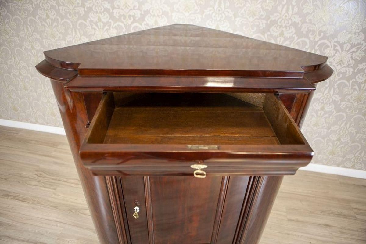 Biedermeier Mahogany Veneer Corner Cabinet, Circa 1870 photo 2141.0