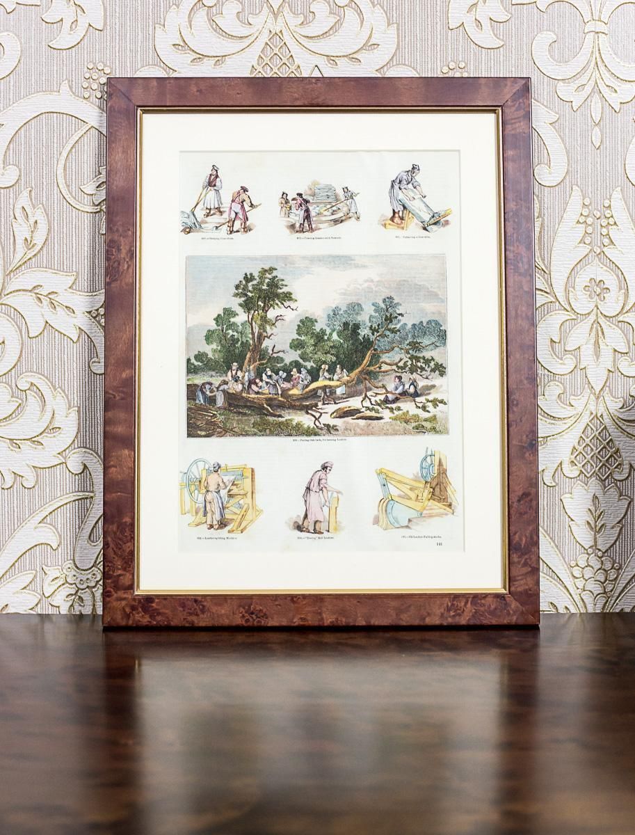 Vintage Print Illustration Of Old Crafts, Tanning, Framed photo 172.0