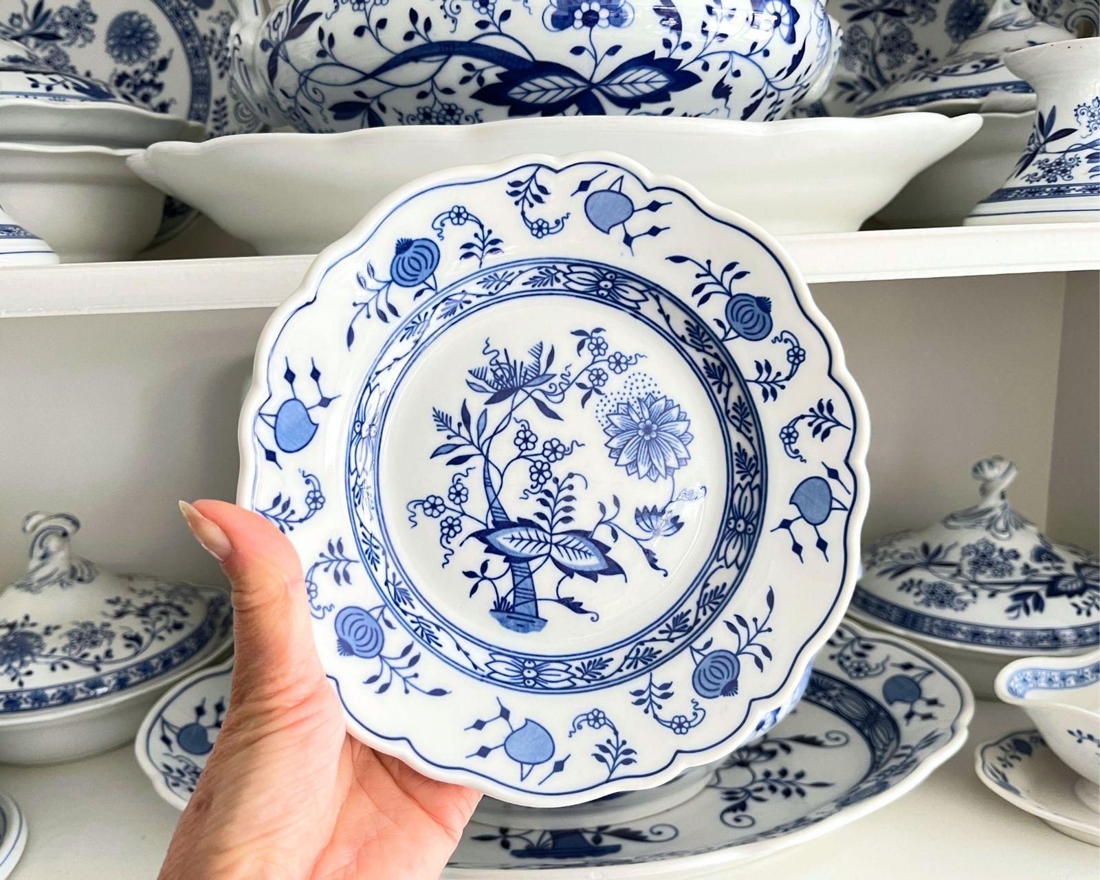 Blue Onion Antique Plates | 16pcs | Porcelain By Hutschenreuther photo vinterior