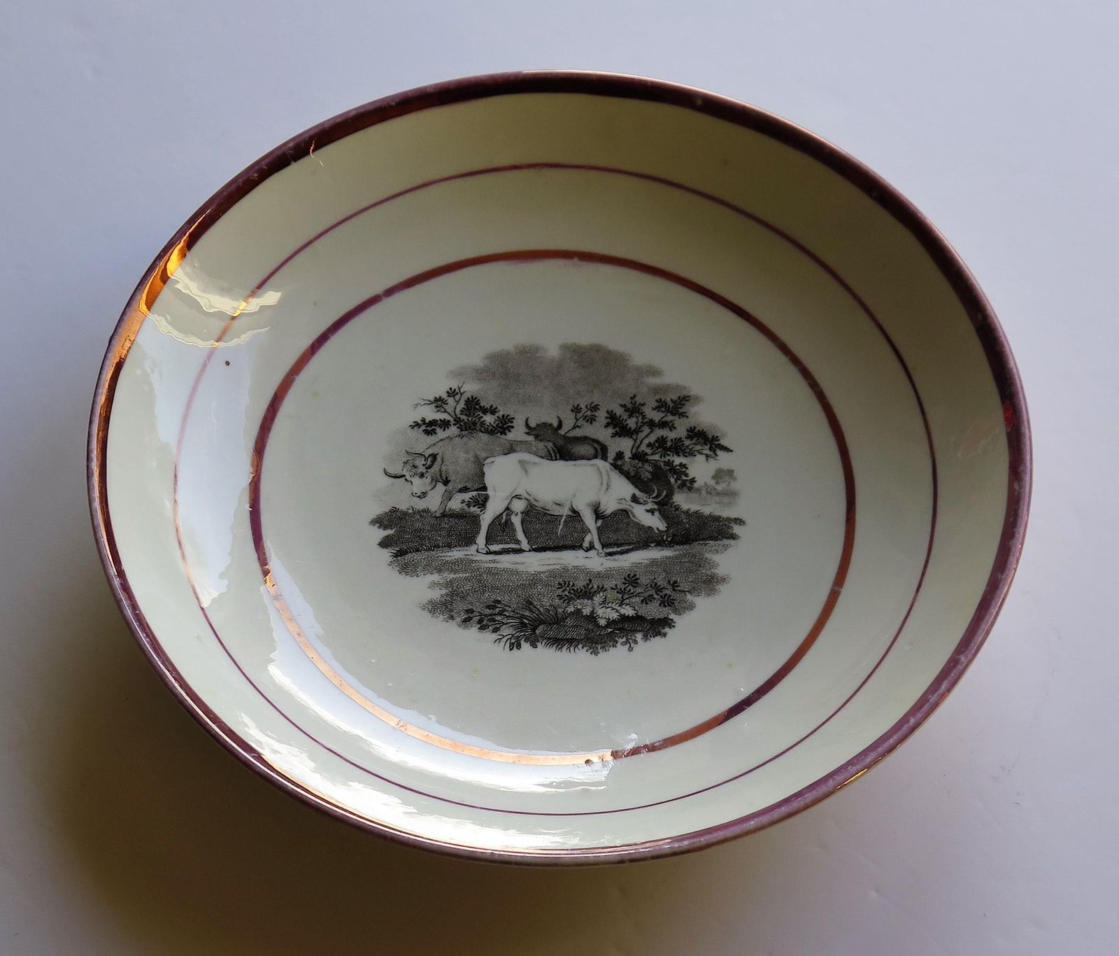 photo furniture Georgian Sunderland Porcelain Lustre Dish Or Plate, English Early 19th Century
