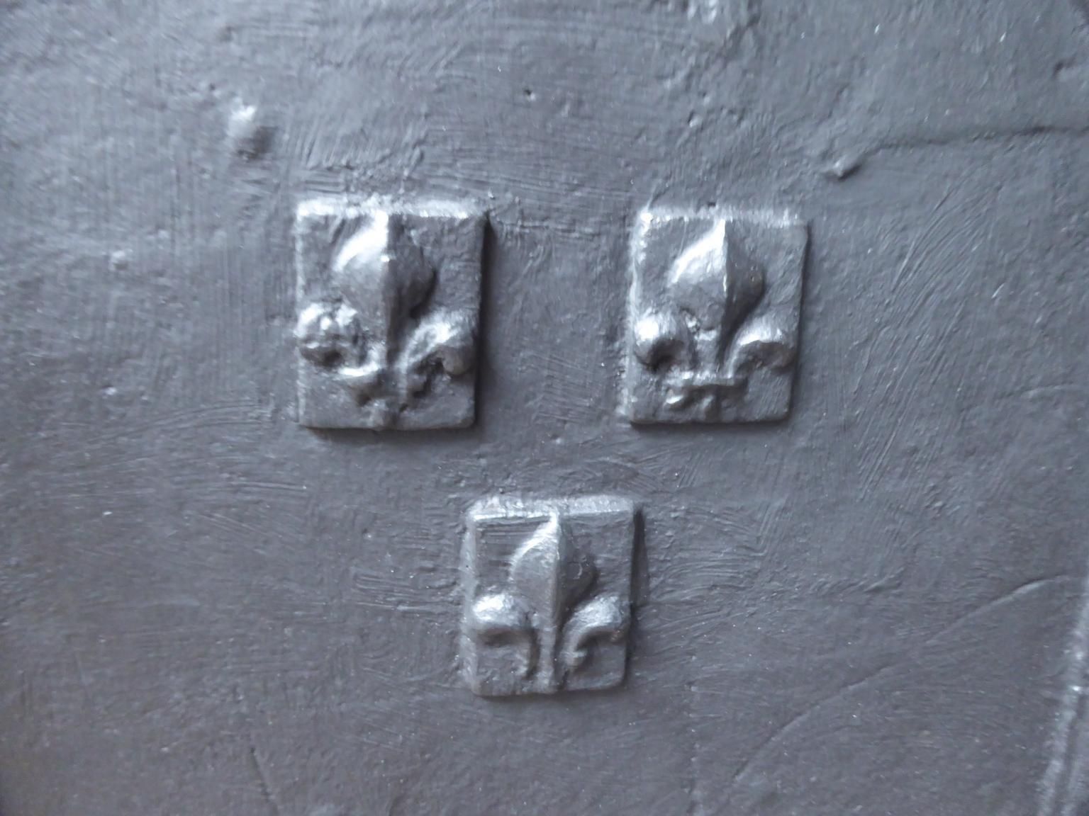 18th Century French Louis XIV 'Fleurs De Lys' Fireback / Backsplash photo 661.0