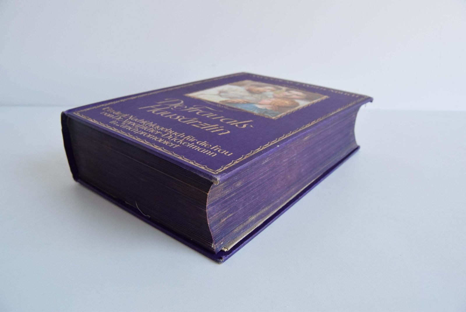 Historical Book "Die Frau Als Hausärztin" From 1918   A Unique Collector's Item photo Home Decor