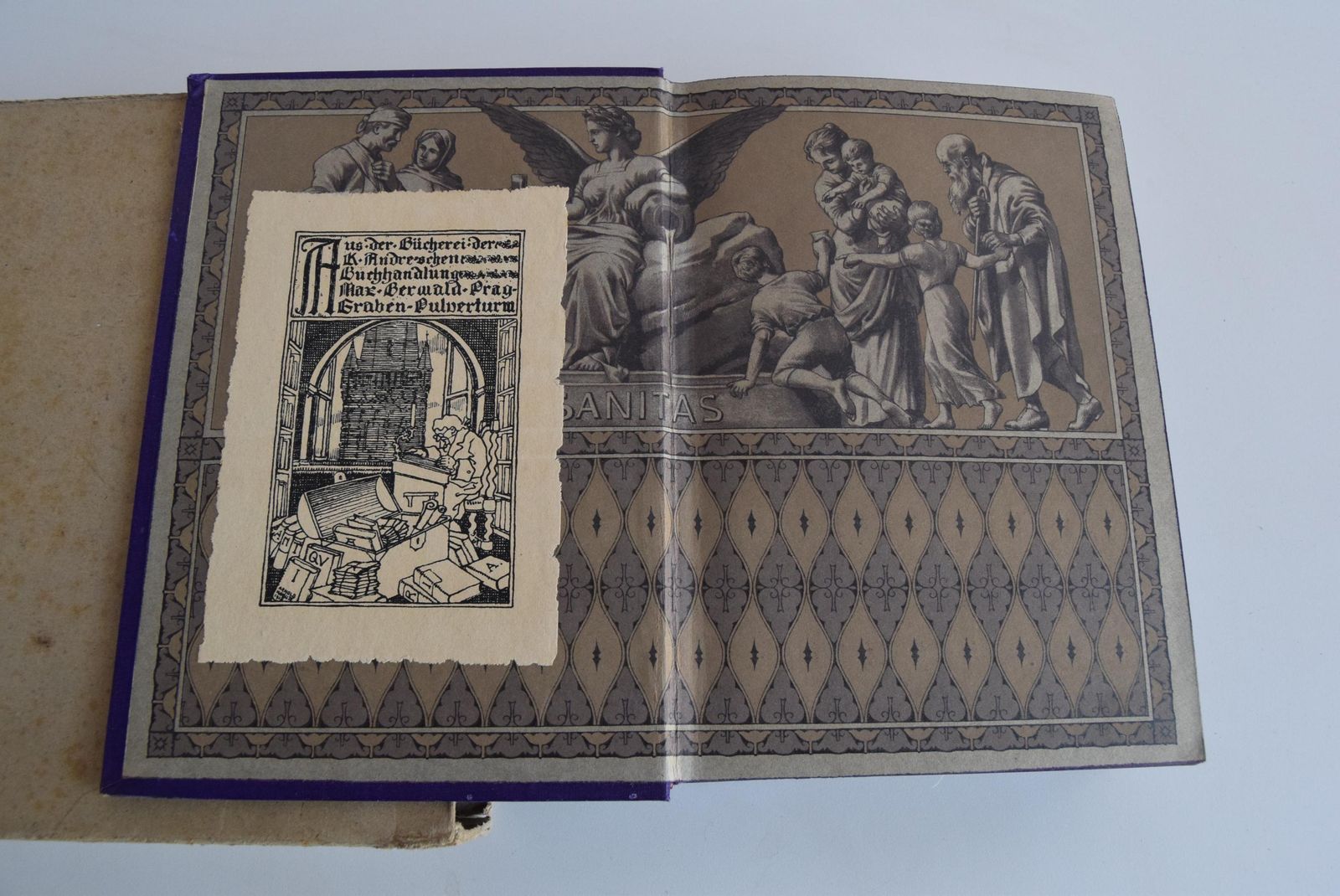 Historical Book "Die Frau Als Hausärztin" From 1918   A Unique Collector's Item photo buy