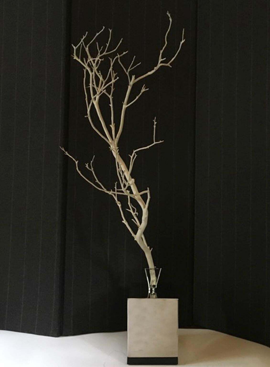 Italy Natural Abstract White Birch Branch On Chrome Stand photo furniture