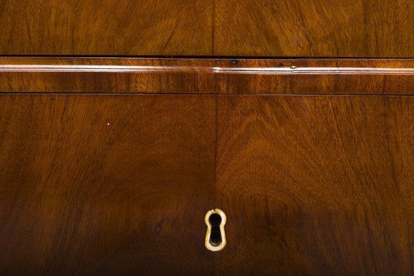 Early 19th Century Biedermeier Mahogany Commodes, 1830s photo furniture