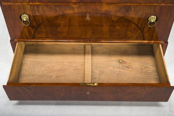 Early 19th Century Biedermeier Mahogany Commodes, 1830s photo 2089.0