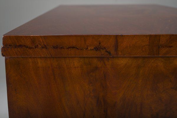 2089.0 Early 19th Century Biedermeier Mahogany Commodes, 1830s photo