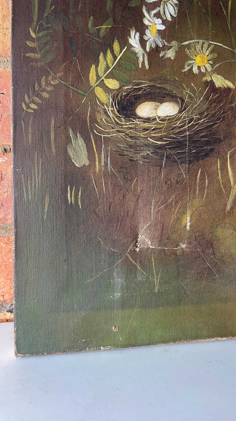 19th Century Oil Painting On Canvas – Nesting Birds In A Meadow photo vintage