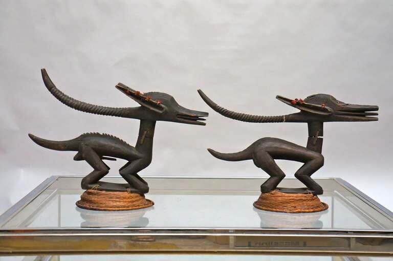 Chi Wara Headdresses Animal Sculpture , Bambara People, Mali photo vintage