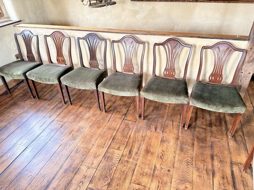 Rare Original Howard & Sons Antique Green Carver Elbow Dining Chairs Set Of 8 photo Furniture