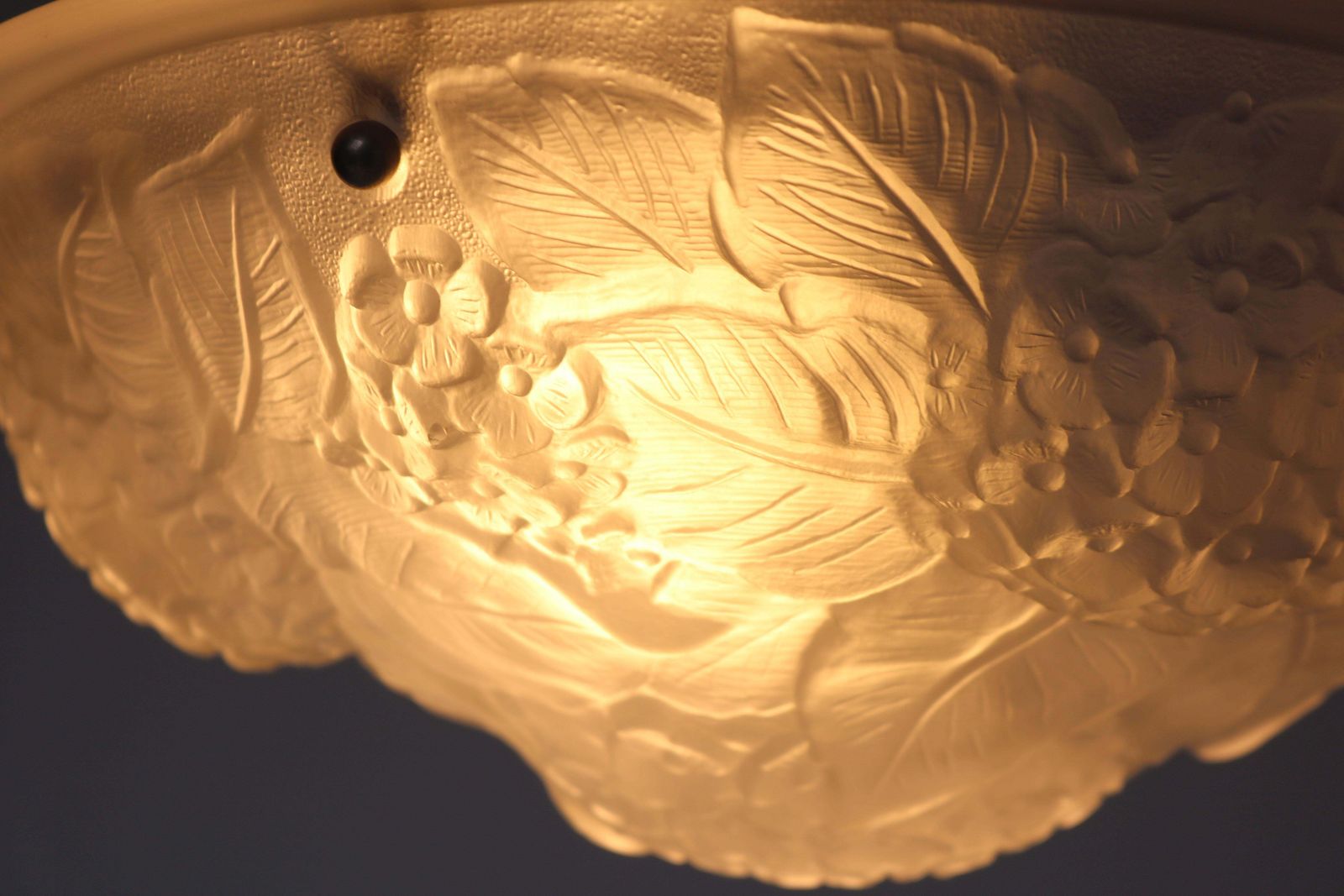photo furniture Antique Floral Art Deco / Art Nouveau French 1920 Chandelier Pendant Light Glass