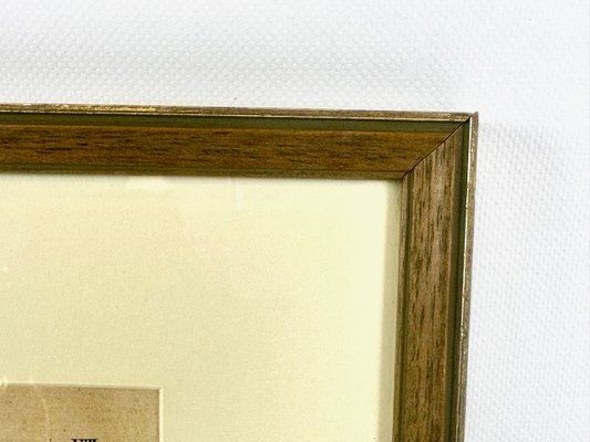 Gotthilf Heinrich Von Schubert, Turtles, 1886, Copperplate Engraving, Framed photo buy