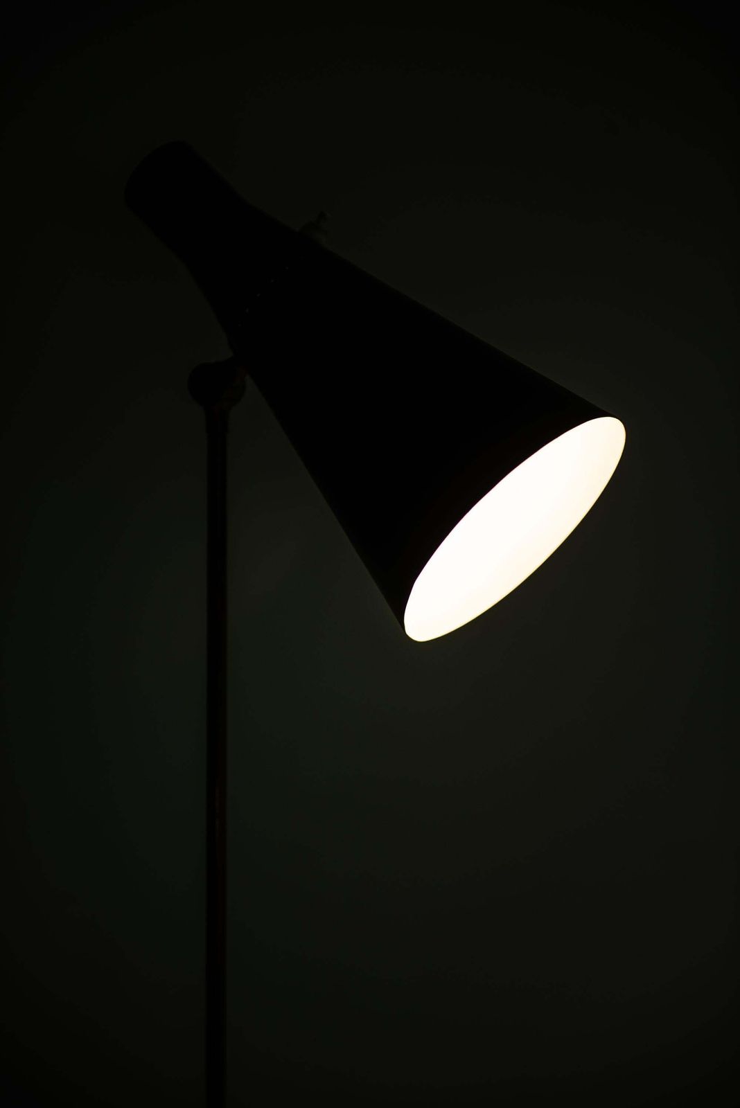 photo for sale Alf Svensson Floor Lamp Model G 36 Produced By Bergbom In Sweden