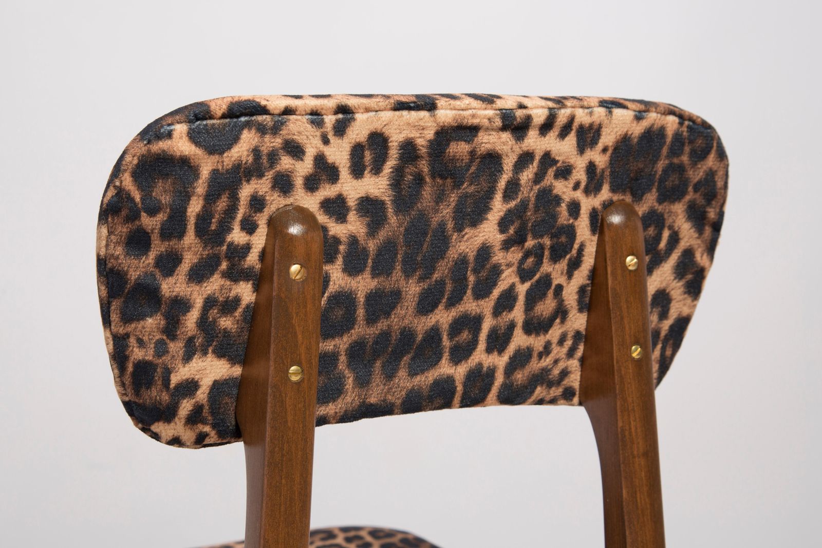 Mid Century Luipaardfluwelen Fauteuil, Walnouthout, Rajmund Halas, Polen, Jaren 1960 photo buy